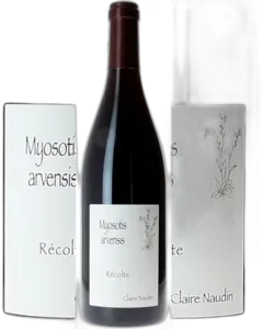 capture du vin Myosotis Arvensis