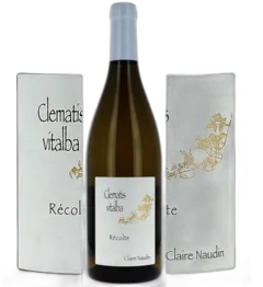 illustration du vin Hautes Cotes de Nuits Clematis Vitalba Blanc 2023 Claire Naudin