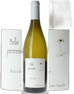 photo du vin Hautes Côtes de Beaune Bellis Perennis Blanc 2023 Claire Naudin Mag