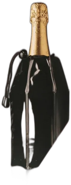 photo du vin Rapice Ice"Rafraichisseur Instantané Vacu Vin Pour Méthode Traditionnelle "