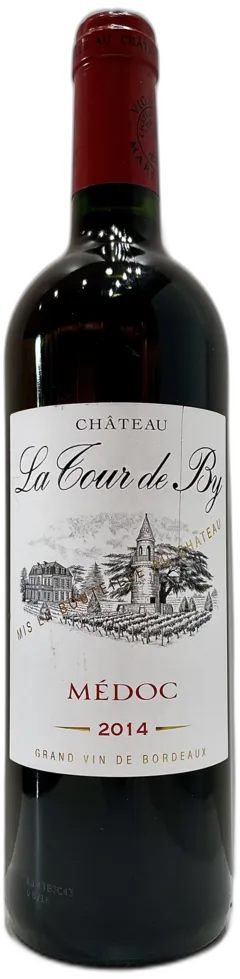 vue du vin Médoc Château la Tour de by