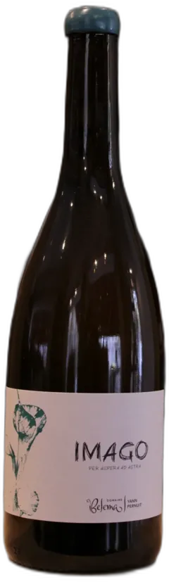 photo du vin Gringet