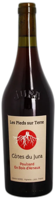 vue du vin Poulsard en Bois d’Arnaux