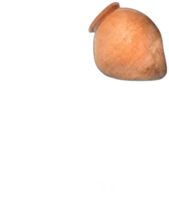 photo du vin Henri Giraud Cuvée Dame Jane Rosé Magnum