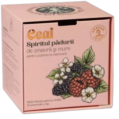 photo du vin Infusion l'Esprit de la Forêt