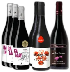 illustration du vin Box Dégustation Épicurienne Beaujolais Nouveau