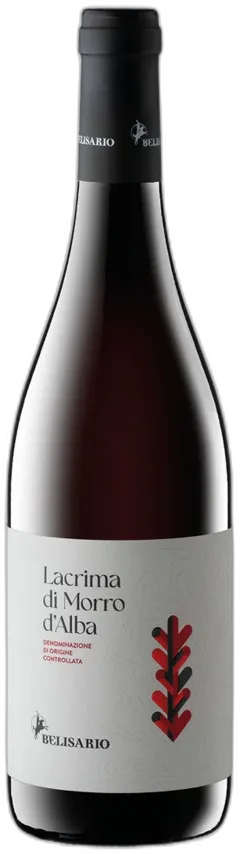 image du vin Lacrima di Morro d’Alba Doc Belisario 2024