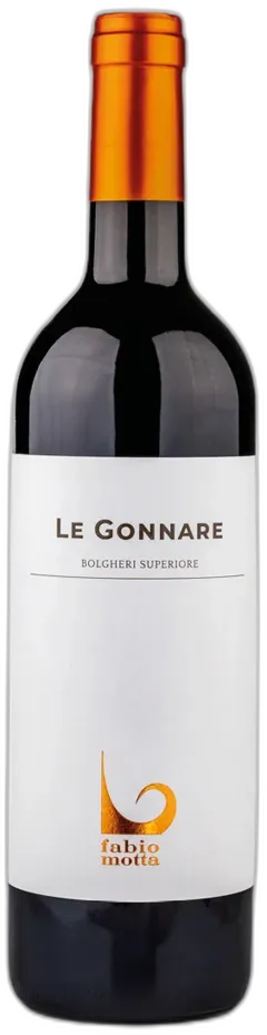 vue du vin Bolgheri Rosso Doc Superiore le Gonnare Fabio Motta 2022