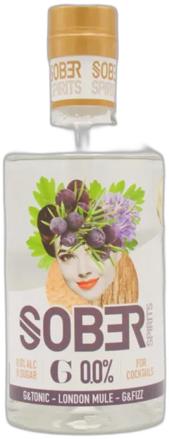 photo du vin Gin Sans Alcool Sober Spirits