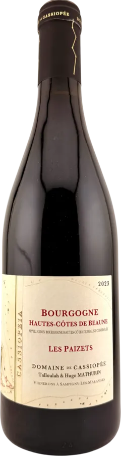 vue du vin Bourgogne Hautes Côtes de Beaune "les Paizets"