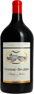 vue du vin Double-Magnum Château Chasse-Spleen