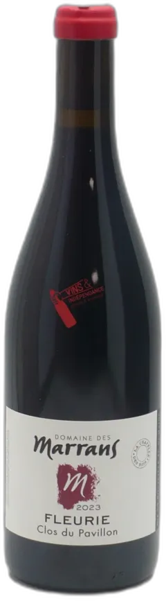 vue du vin Fleurie Clos du Pavillon