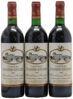 photo du vin Château Chasse Spleen