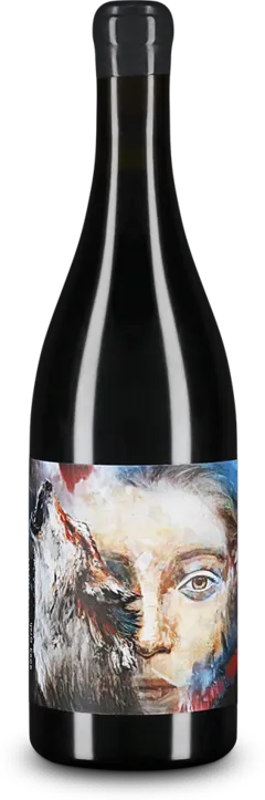 photo du vin Francois Dumas Vdf Syrah