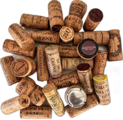 capture du vin Pierre Girardin Vosne-Romanée les Suchots 2021