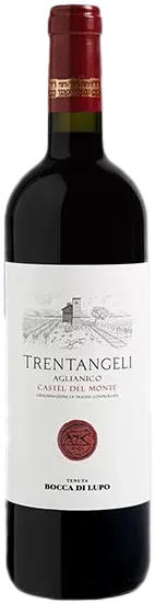 vue du vin Trentangeli Castel Del Monte
