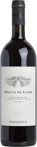 vue du vin Trentangeli Castel Del Monte