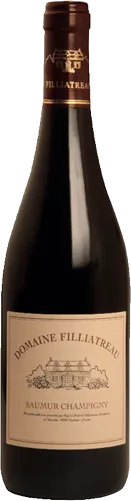 vue du vin Domaine Filliatreau Saumur Champigny 2022