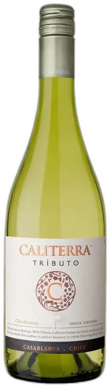 vue du vin Tributo Chardonnay Caliterra Blanc 2015