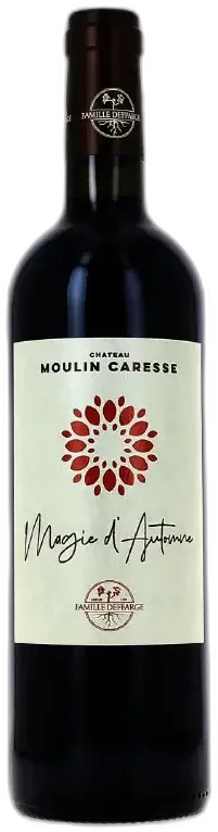 vue du vin Château Moulin Caresse Magie d’Automne Rouge 2017
