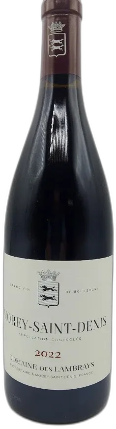 vue du vin Morey Saint Denis Village