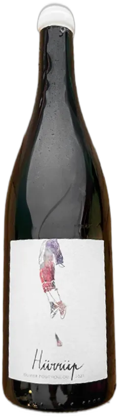 vue du vin Domaine Etxondoa Hürrüp