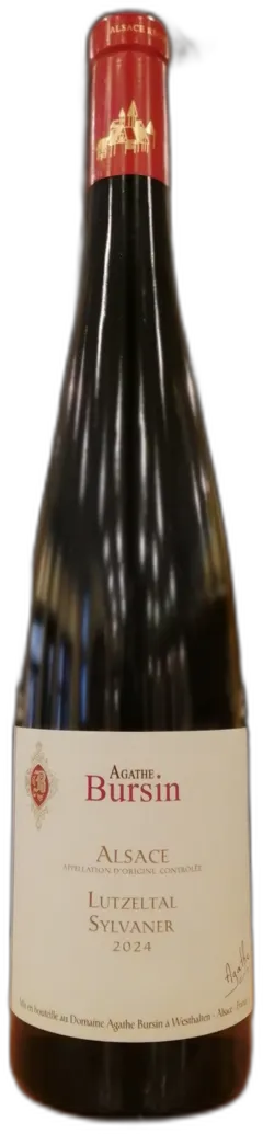 photos du vin Bursin Agathe Sylvaner Lutzeltal