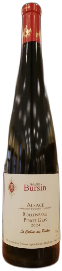 vue du vin La Colline des Roches