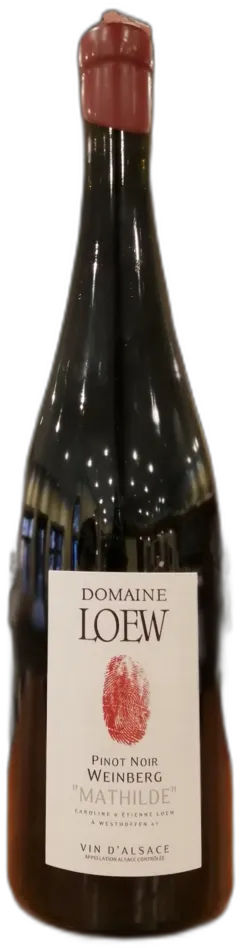 photos du vin Loew Pinot Noir Weinberg 2024