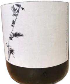 image du vin Ludovic Engelvin les Vieux Ronsard