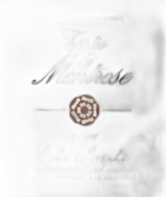 illustration du vin Tertio de Montrose 2017