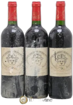 vue du vin Grand Poujeaux