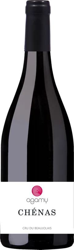 vue du vin Chenas Rouge