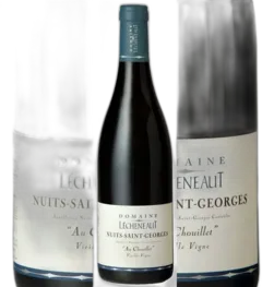 illustration du vin Nsg au Chouillet vv 2022 Lecheneaut