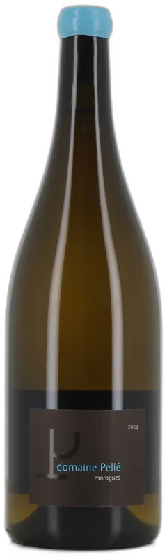 illustration du vin Magnum