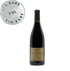 aperçu du vin Domaine Antoine Sanzay, les Poyeux 2023