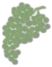 illustration du vin Brut Vintage