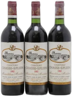 photos du vin Château Chasse Spleen