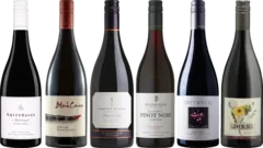 photos du vin Pinot Noir Dégustation Premium