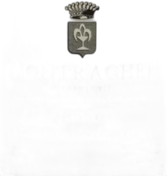 photo du vin Montrachet Grand Cru Comtes Lafon