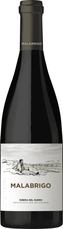 image du vin Emilio Moro Vendimia Seleccionada