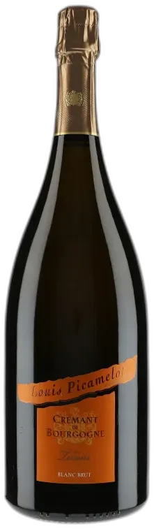 image du vin les Terroirs Brut