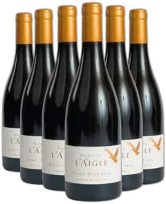 illustration du vin Domaine de l’Aigle Pinot Noir Lot