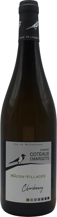 vue du vin Mâcon-Villages