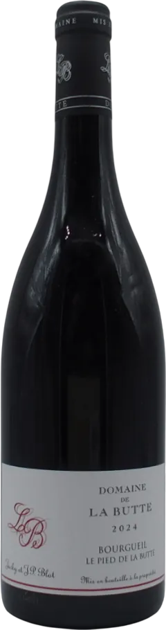 image du vin Bourgueil le Pied de la Butte