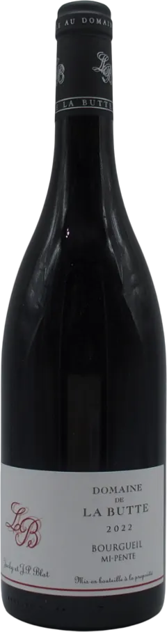 vue du vin Bourgueil mi-Pente