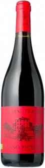 photos du vin Rosso Piceno 2024 Saladini Pilastri