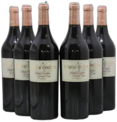 vue du vin Château Bellevue Mondotte