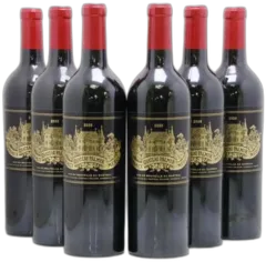 vue du vin Château Palmer