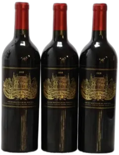 vue du vin Château Palmer